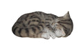Vivid Arts Schlafende Katze, Polyresin Länge: 30 cm