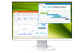 EIZO EV2360-Swiss Edition 22.5" Weiss