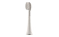 Waterpik Aufsteckbürste Standard SW-2011 2er-Set zu SW-2000
