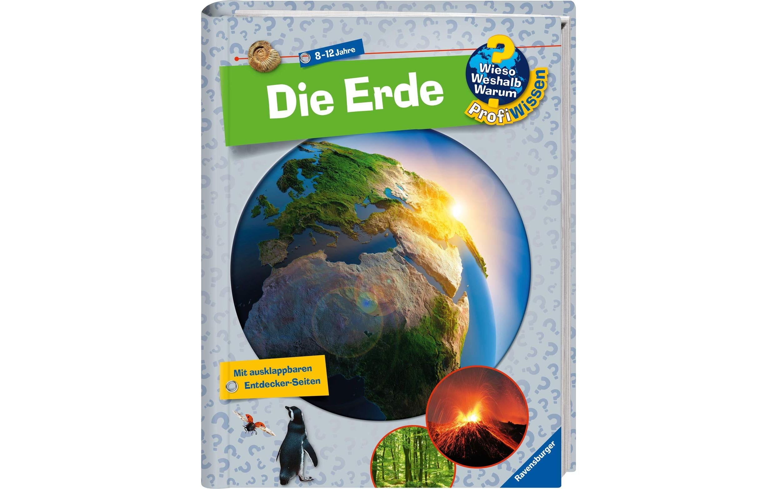 WWW ProfiWissen 1: Die Erde