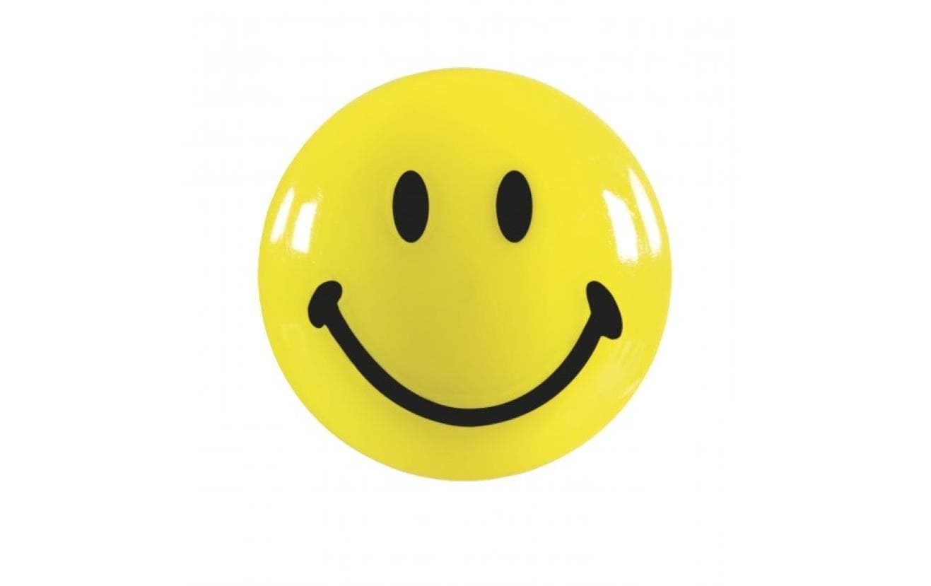 Magnetoplan Magnet Smiley 30 mm, 6 Stück
