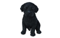 Vivid Arts Labrador Welpe, Schwarz Polyresin, 14.3 x 12 x 16.5 cm