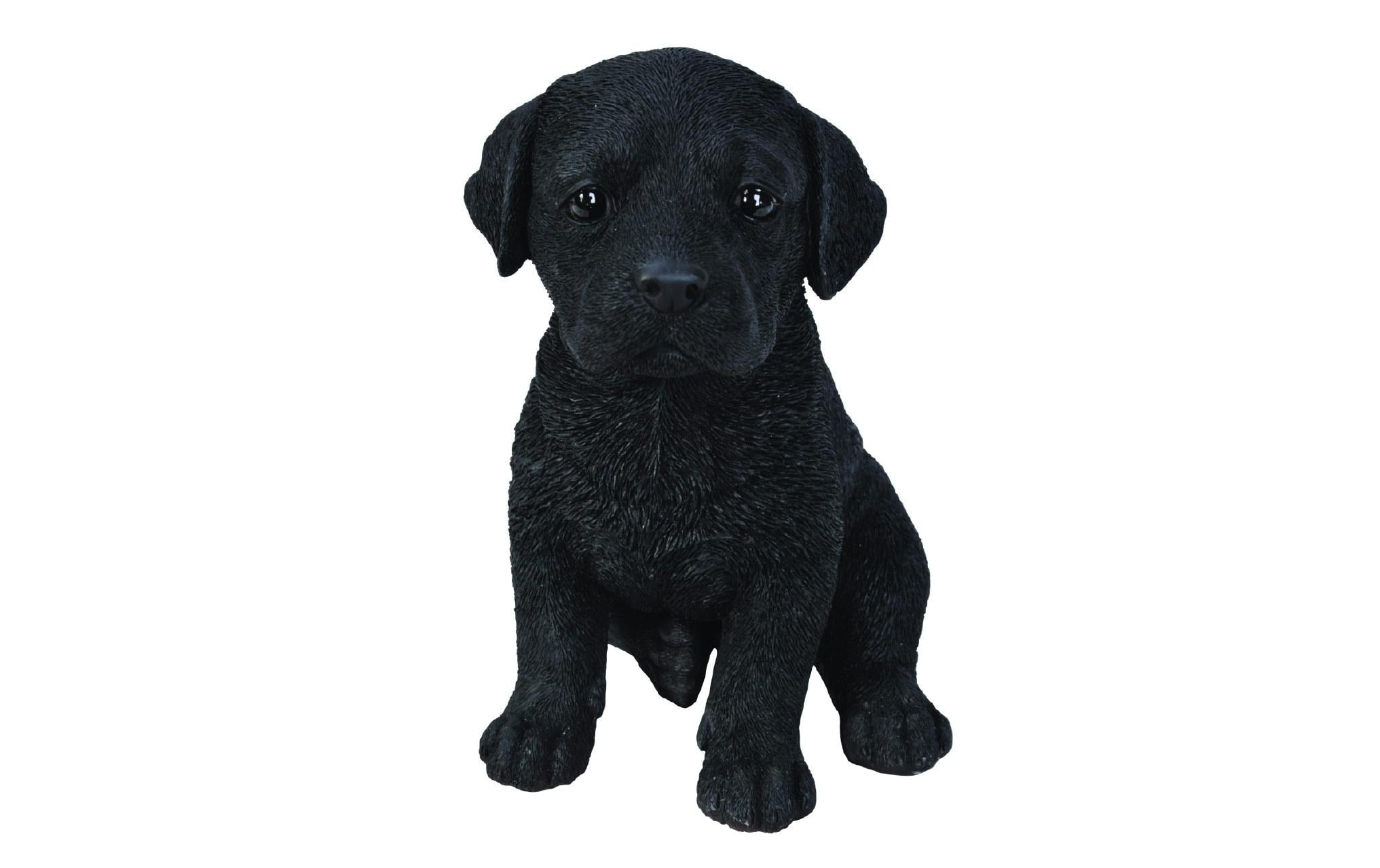 Vivid Arts Labrador Welpe, Schwarz Polyresin, 14.3 x 12 x 16.5 cm