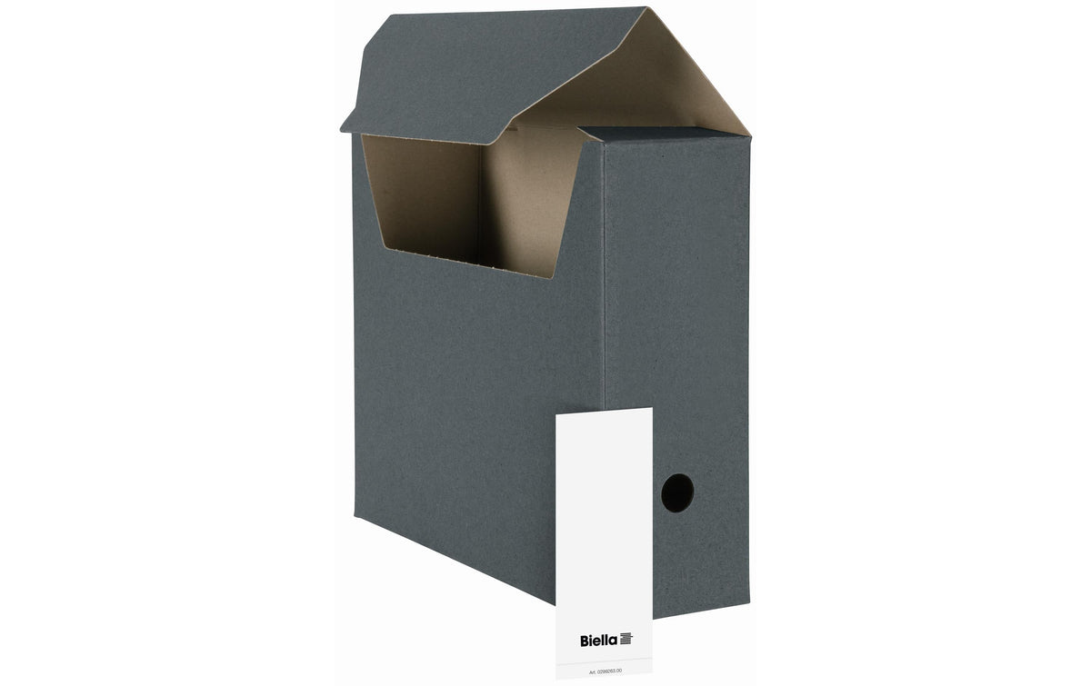 Biella Archivschachtel A4 10 Stück 27x33x10 cm, grau