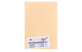 Folia Fotokarton A4 300g/m2, 50 Blatt Farbe: Chamois