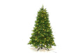Botanic-Haus Weihnachtsbaum De Luxe,528 LED Easy Shape, H: 180 cm, D: 120 cm