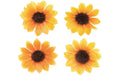 Glorex Blüten Sonnenblumen 15 Stück, D: 3.5 cm