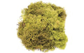 Glorex Islandmoos 50g Hellgrün