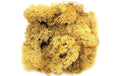 Glorex Islandmoos 50g gelb