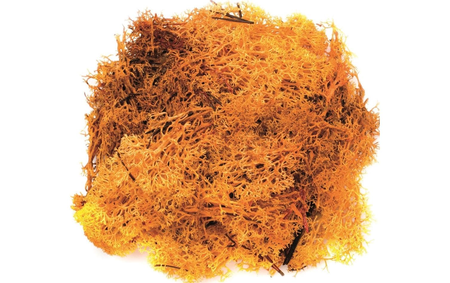 Glorex Islandmoos 50g Orange