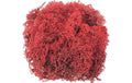 Glorex Islandmoos 50g Rot
