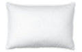 Interio Bio-Hirsekissen COMFORT PURE 40x60cm, BIO Goldhirse, mit Hülle