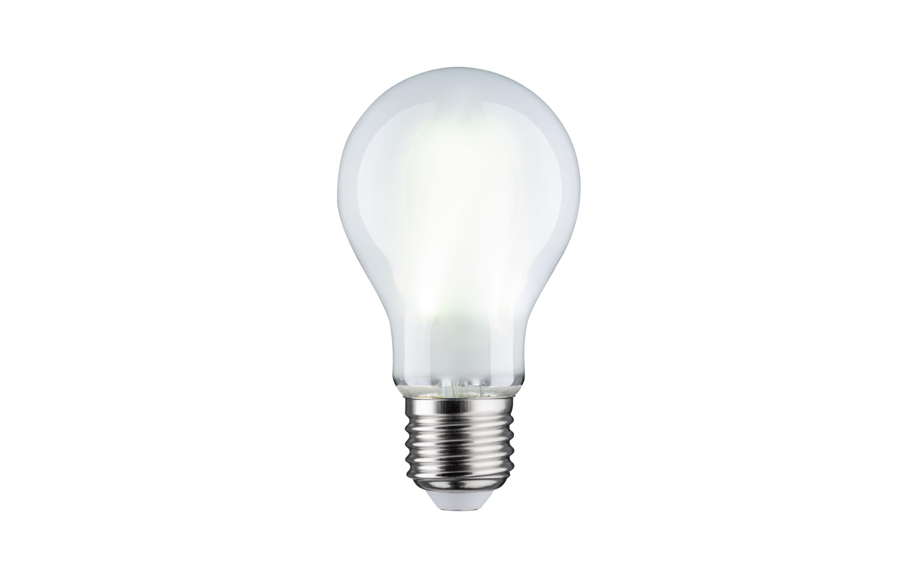 Paulmann Leuchtmittel LED Filament Matt E27 9W 6500K 1055lm, Dimmbar