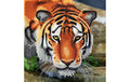 Crystal Art Card Tiger 18x18 cm