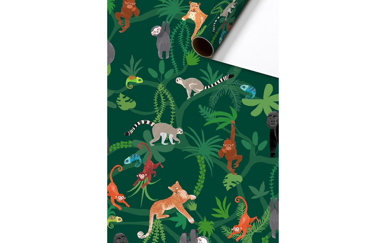 Stewo Gschenkpapier Lauro Grösse 70cm x 2 m,  80 gm2