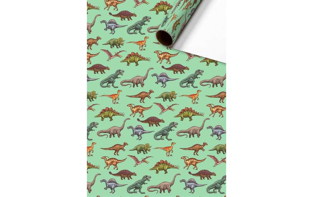 Stewo Gschenkpapier Saurus Grösse 70cm x 2 m,  80 gm2