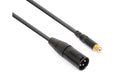 PD Connex CX134 Adapterkabel XLRm - Cinchbuchse
