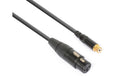 PD Connex CX138 Adapterkabel XLRf - Cinchbuchse