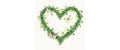 B+C Servietten Green Dream 33x33 cm, 20 Stück