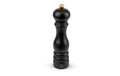 Peugeot Pfeffermühle Paris U-SELECT 22cm Schwarz
