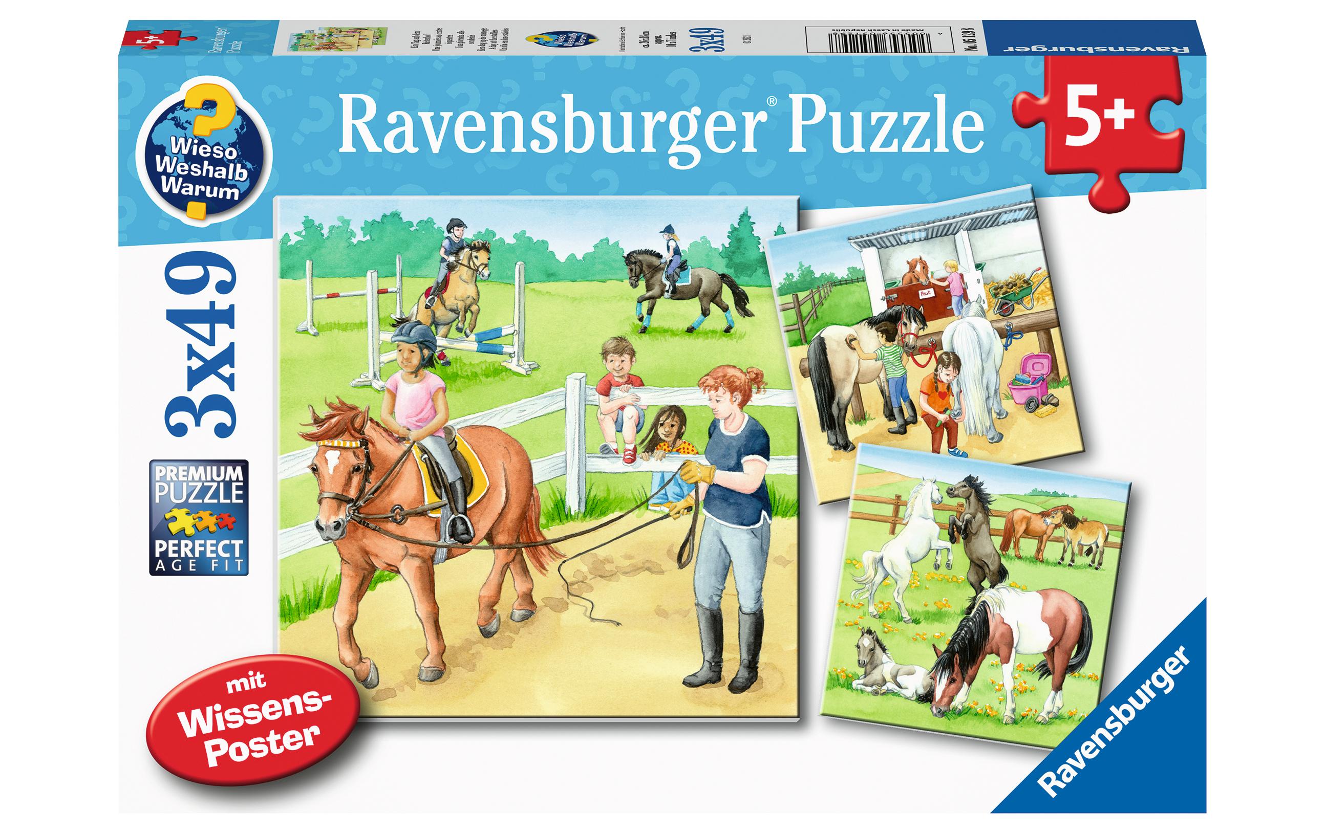 Puzzle Ein Tag auf dem Reiterhof 3 X 49 Teile, Alter: 5+