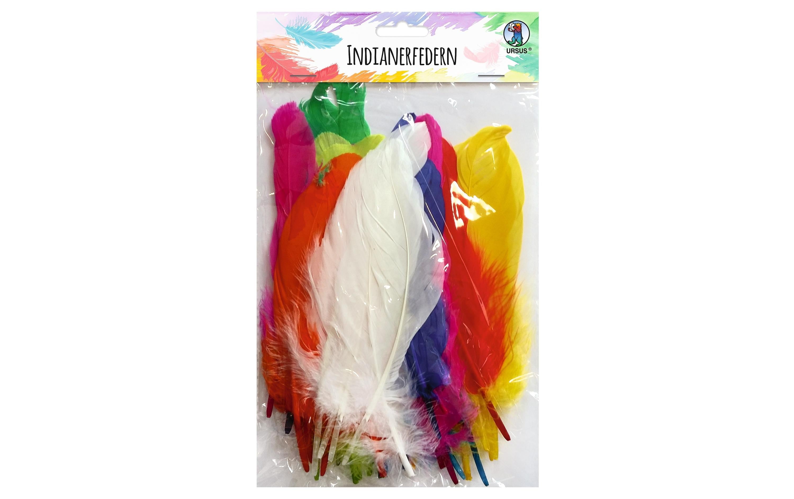 Ursus Indianerfedern 50 Stück Länge: 16-20cm, Farbe: 10 Farben sortiert