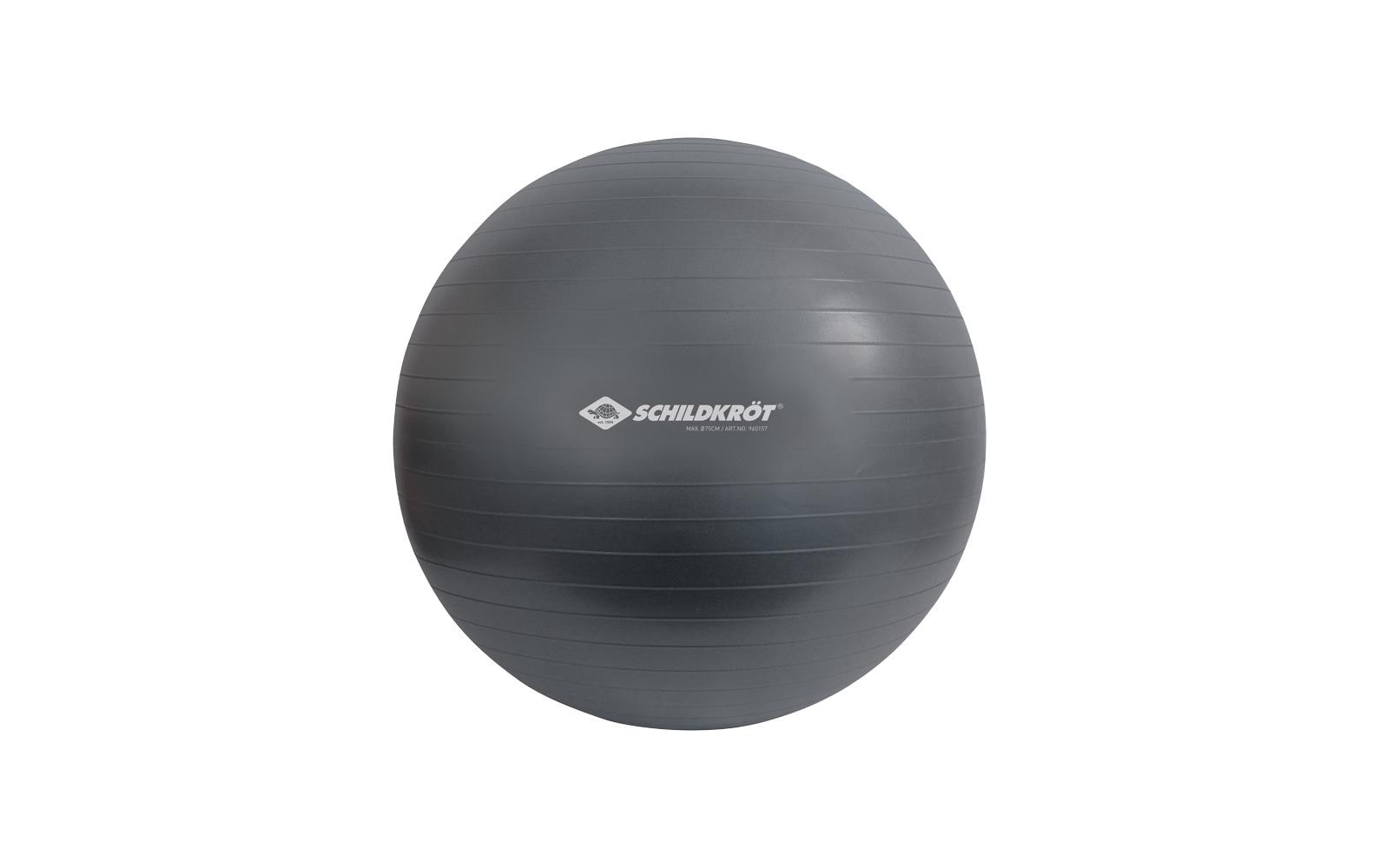 Schildkröt Fitness Gymnastikball 75cm