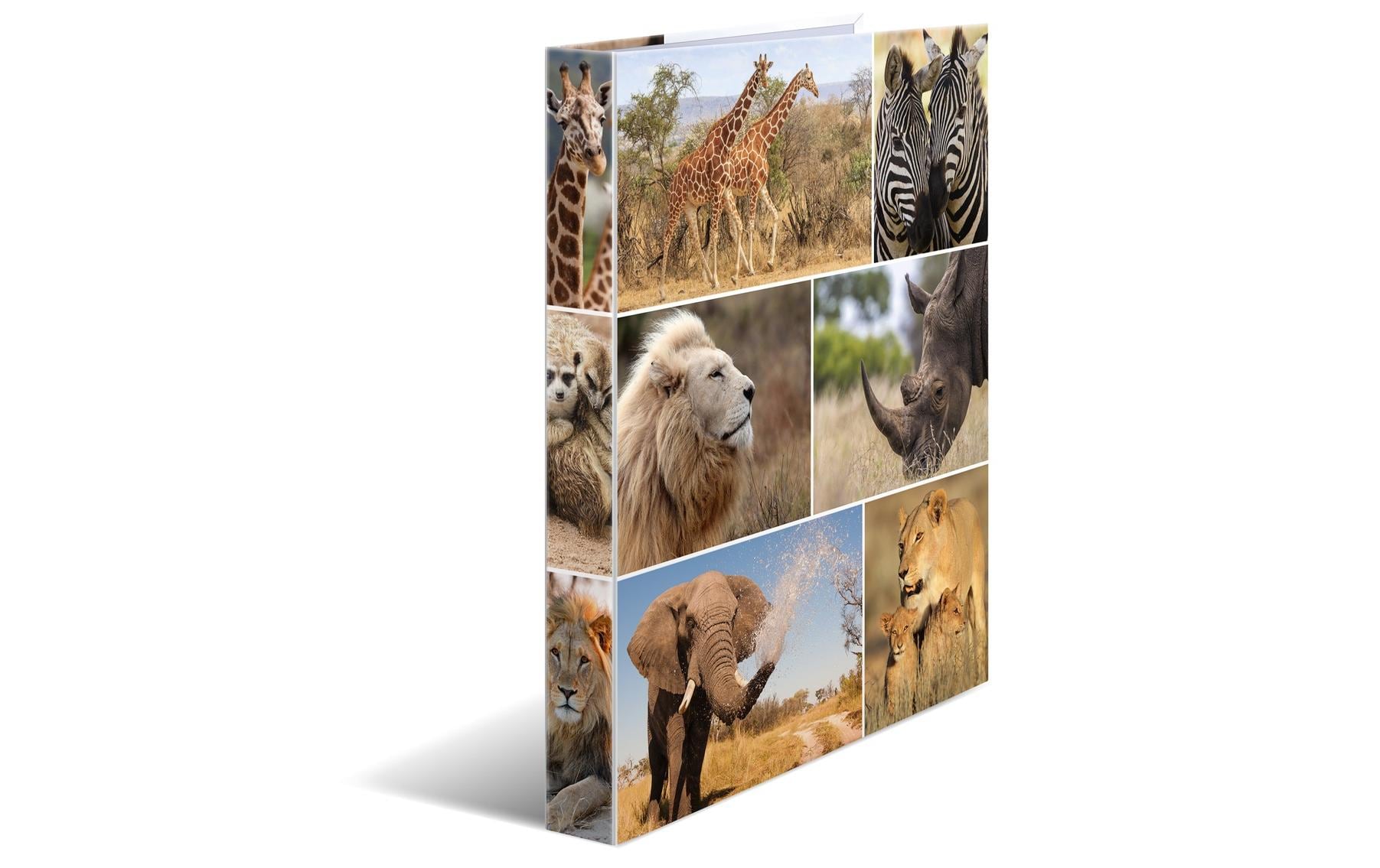 Herma Ringbuch A4 3.5 cm Afrika 2D Rückenbreite: 3.5 cm, Füllhöhe: 2 cm