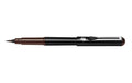 Pentel Pinselstift Pocket Brush Pen sepia, mit 4 Refill