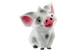 Pua, Vaiana 5 cm