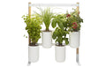Prêt à Pousser Indoor Kräutergarten Modulo 2, weiss
