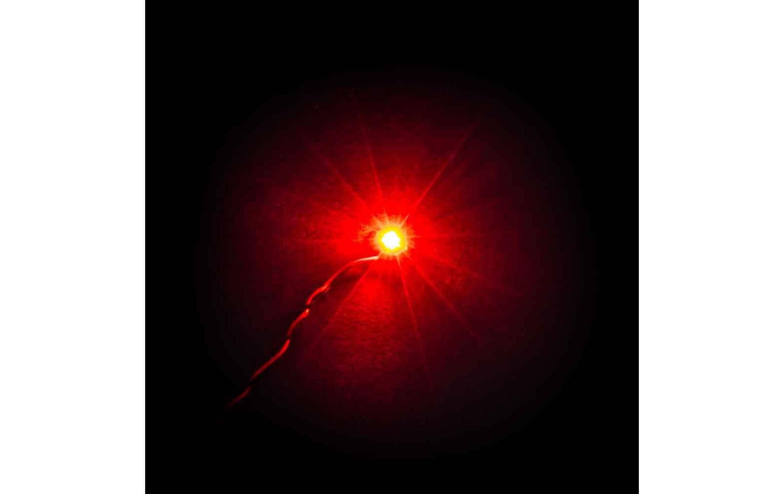 Bit Lights Flashing Rede 30 cm (4pk)