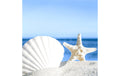 Paper + Design Servietten Shells by the sea 33x33 cm, 20 Stück