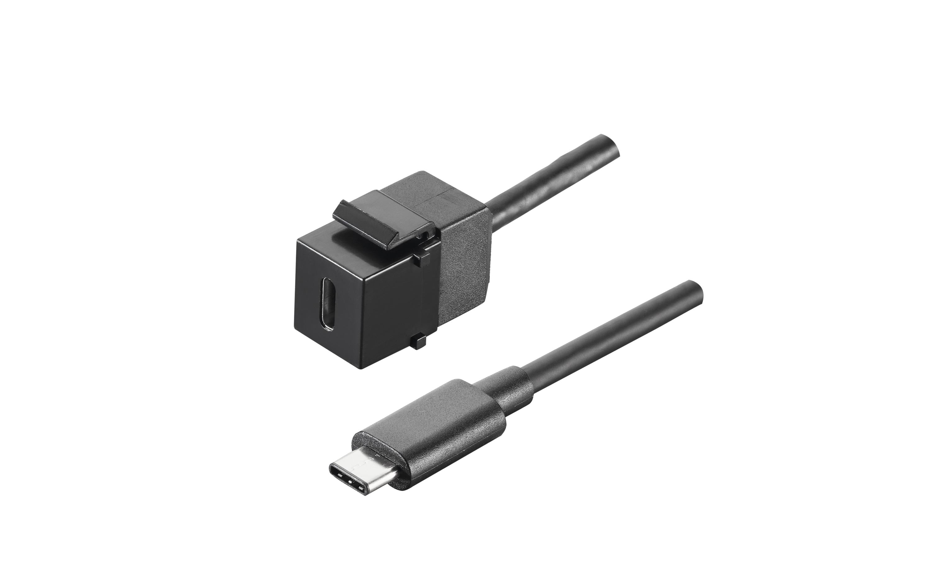 Bachmann Custom Modul, USB C/C 3.1 Keystone Buchse C / Kabelpeitsche C
