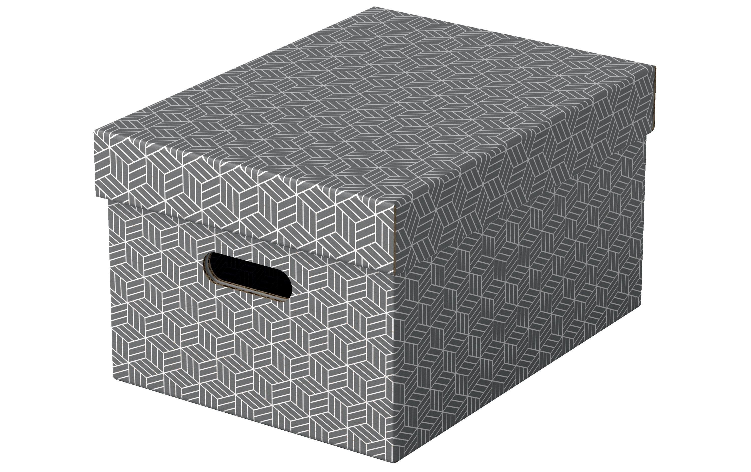 Leitz Aufbewahrungsbox Home M 3 Stk. pro Pack, grau