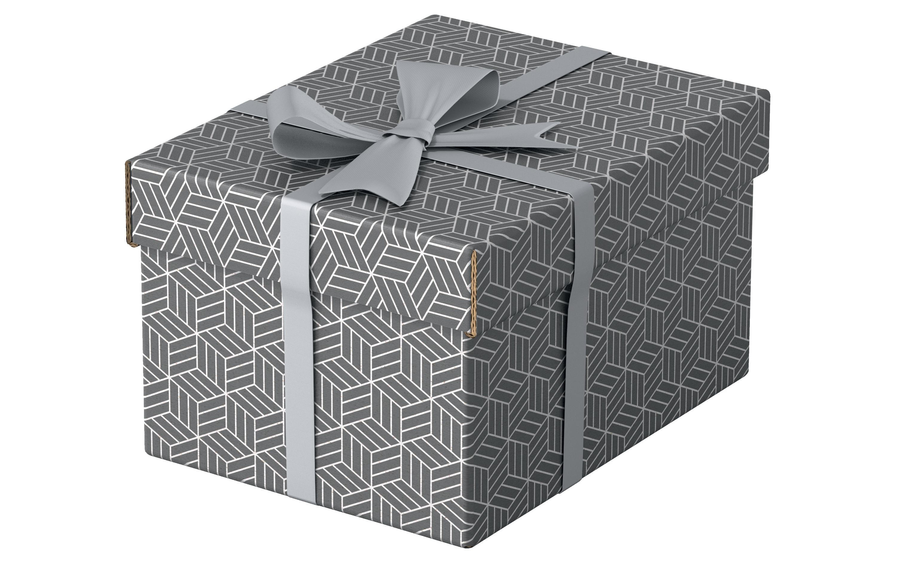 Leitz Aufbewahrungsbox Home S 3 Stk. pro Pack, grau