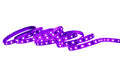 Näve LED UV-Stripe Set 300cm 1x LED UV 30W 394~400 Nanometer