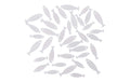 Rico Streudeko Holz Fisch weiss 36 Stück, 8,5x30mm - 11,5x40mm