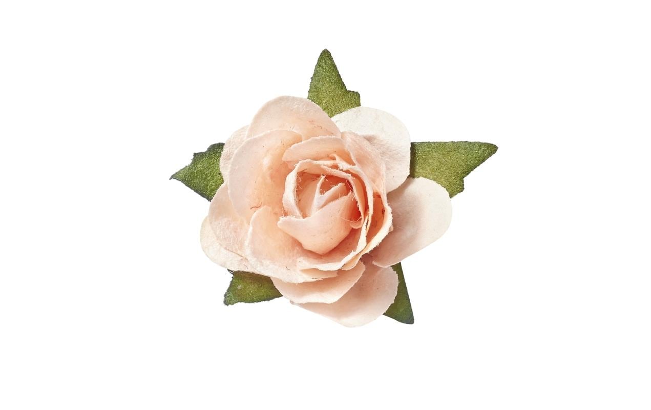 Hobbyfun Streu-Rosen 20 mm 20 Stück, aprikot