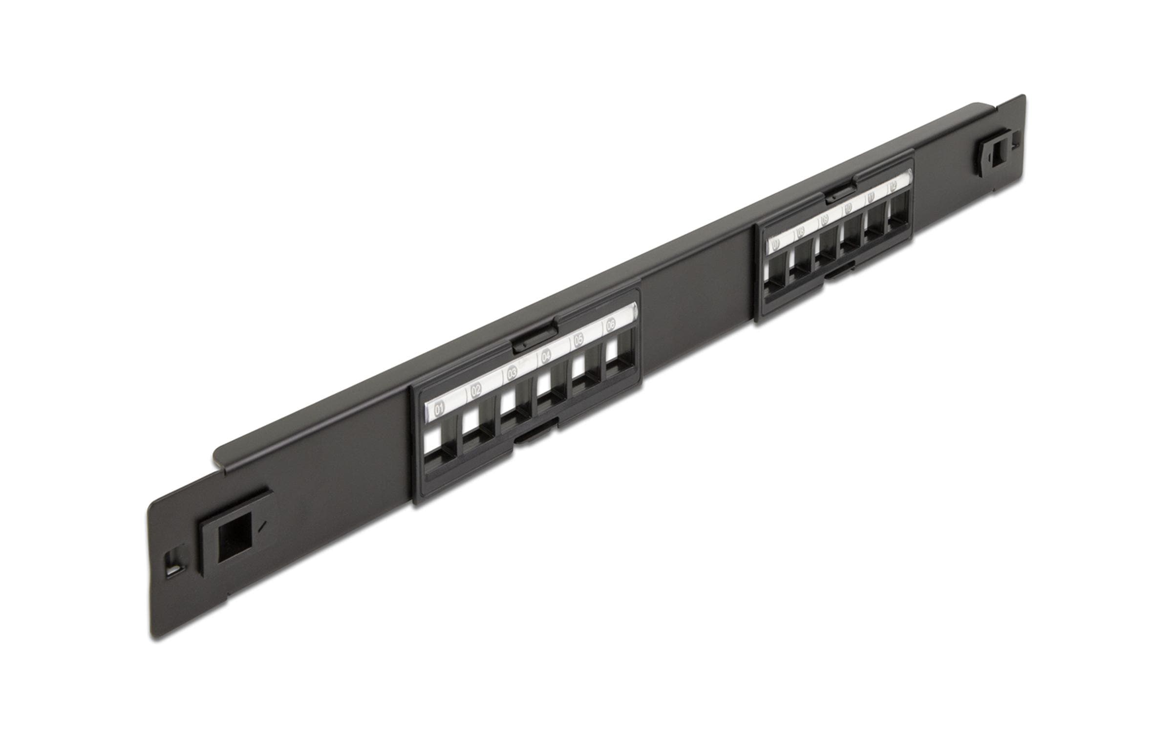 Delock 12-Port 19" Panel, metal schwarz, für Keystone Module