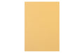 Rainbow Kopierpapier 120 g/m², 250 Stk A4, chamois