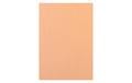 Rainbow Kopierpapier 120 g/m², 250 Stk A4, lachs