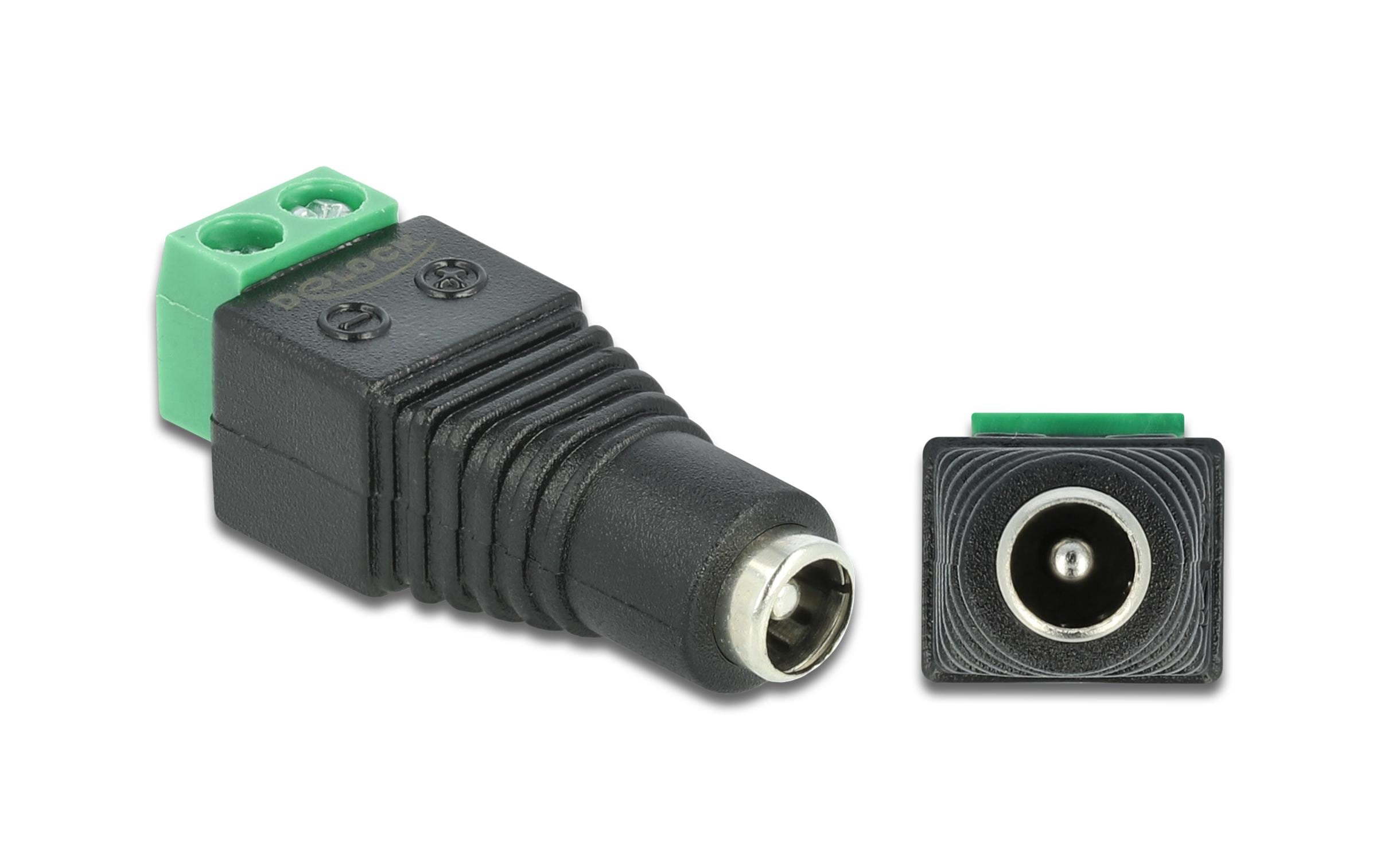 Delock Adapter DC, 5,5 x 2,1mm Buchse Terminalblock, 2 Pin