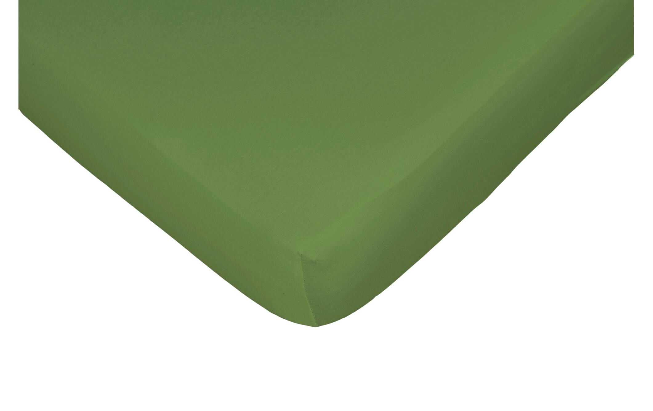 Fixleintuch Jerry grün 140-160x200 cm 100% BW-Single-Jersey, Gummizug