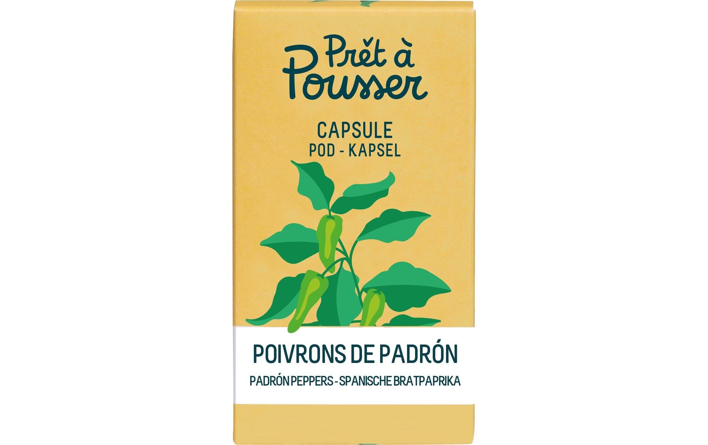 Prêt à Pousser Padron-Paprika Biologische Samen in Kapsel
