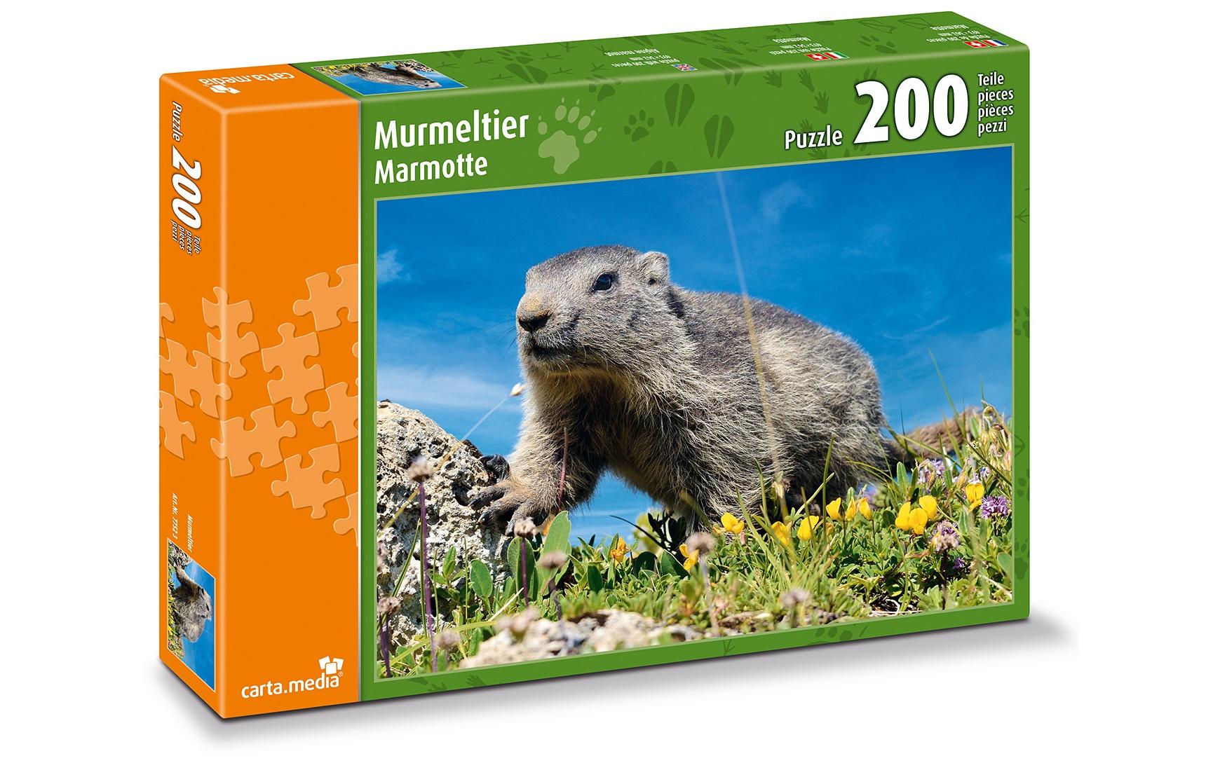 Murmeltier auf Alpwiese 200 Teile
