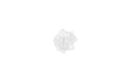 Partydeco AutodekorationRose selbstklebend weiss, 9 cm, 24 Stück, auf Polystyrol