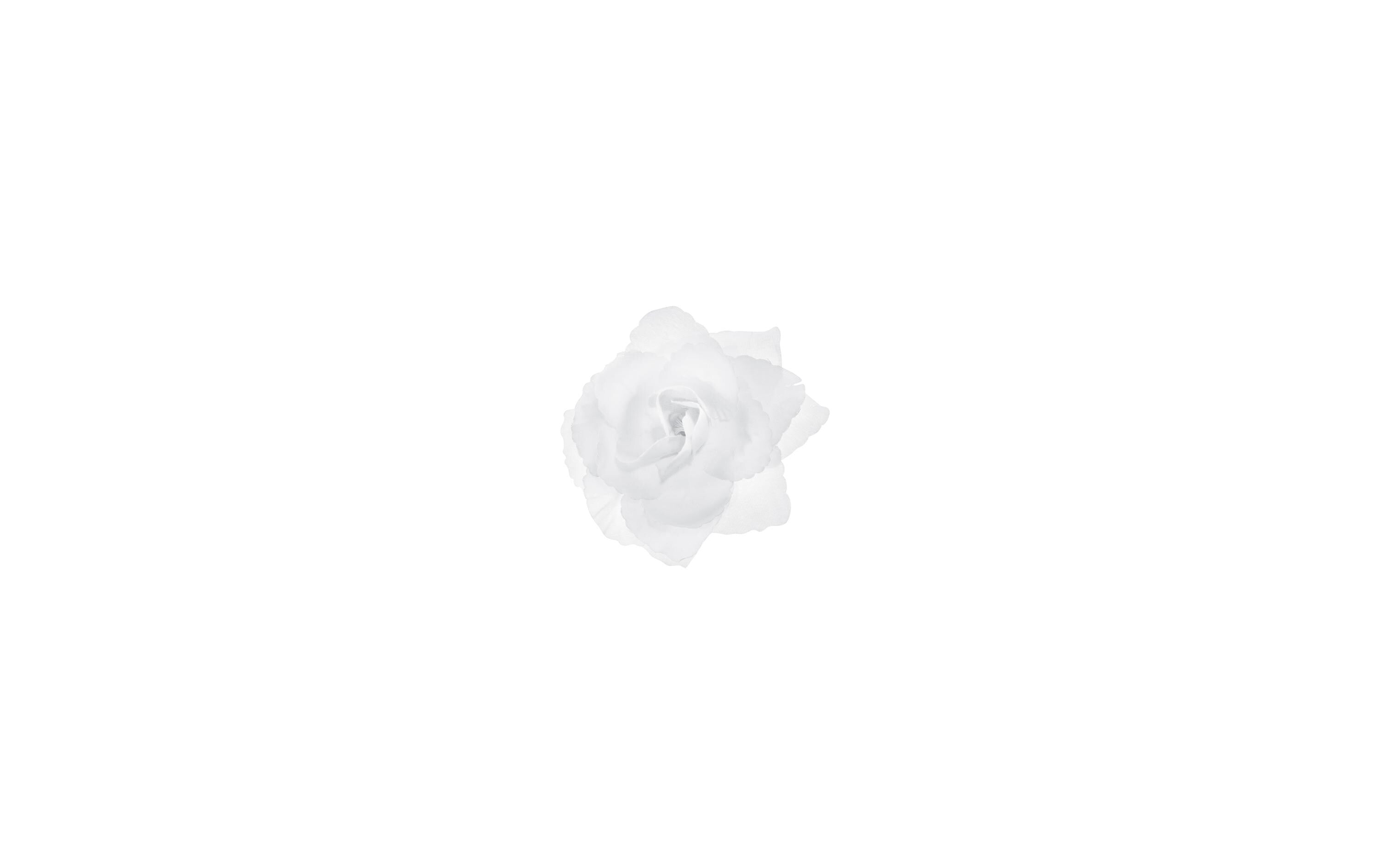 Partydeco AutodekorationRose selbstklebend weiss, 9 cm, 24 Stück, auf Polystyrol