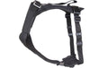 Grossenbacher Geschirr M Vary Schwarz