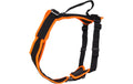 Grossenbacher Geschirr XS Vary Orange